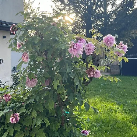 Villa Pool 25 Min From Paris